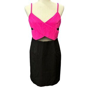 Lucy Paris Dress Large Fuchsia & Black Sleeveless Mesh Cutout Bodycon Womens
